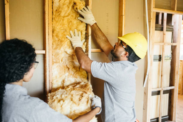 Best Attic Insulation Installation  in Hayti, MO