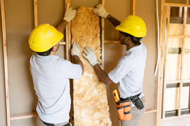Best Insulation Contractor Near Me  in Hayti, MO
