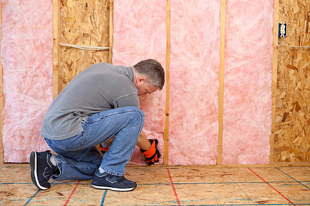 Best Wall Insulation Contractor  in Hayti, MO